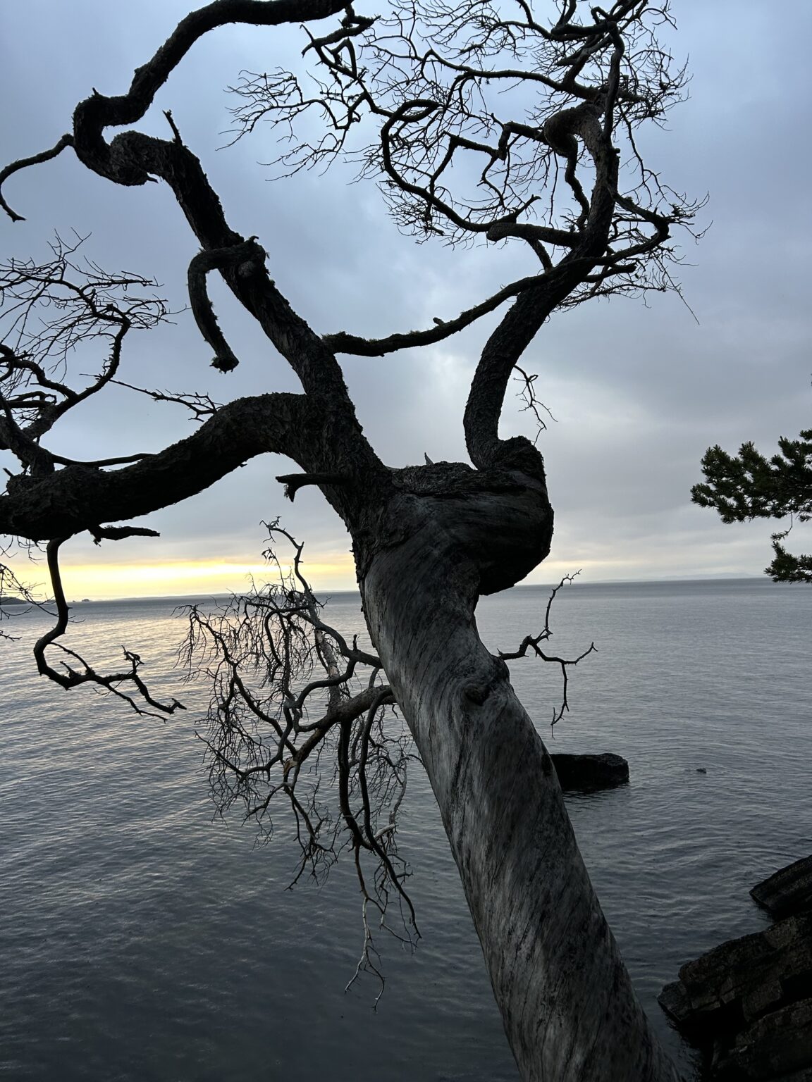 Image at position 3
