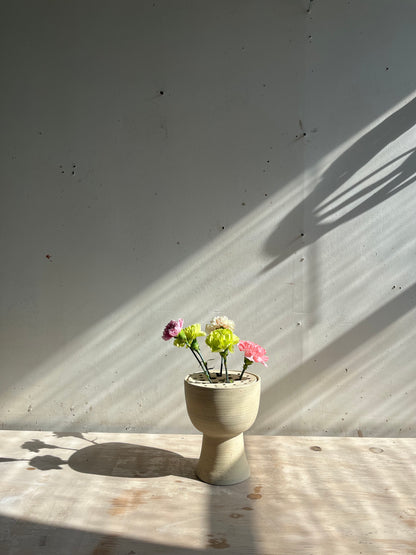 Image at position 1