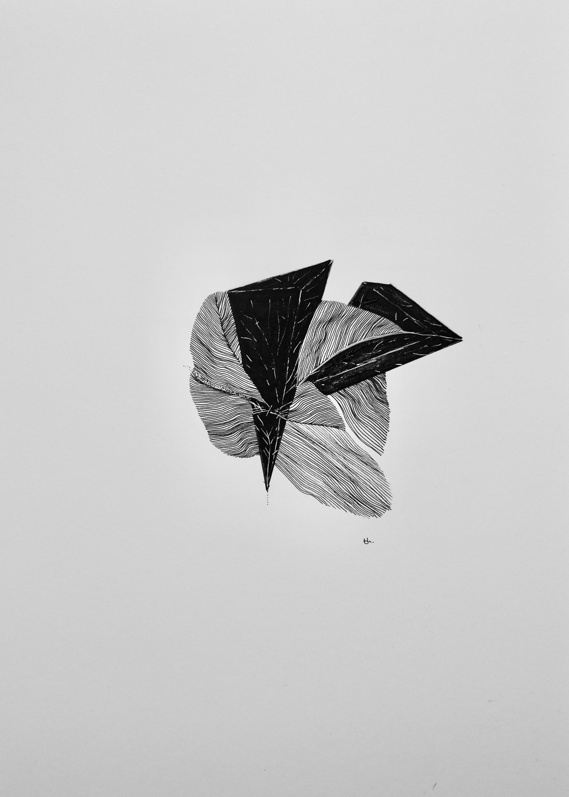 Image at position 1