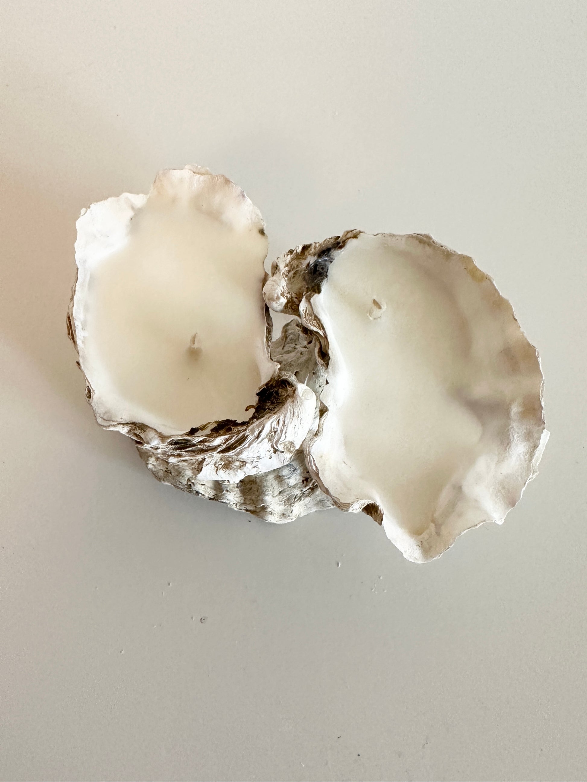 Image at position 8