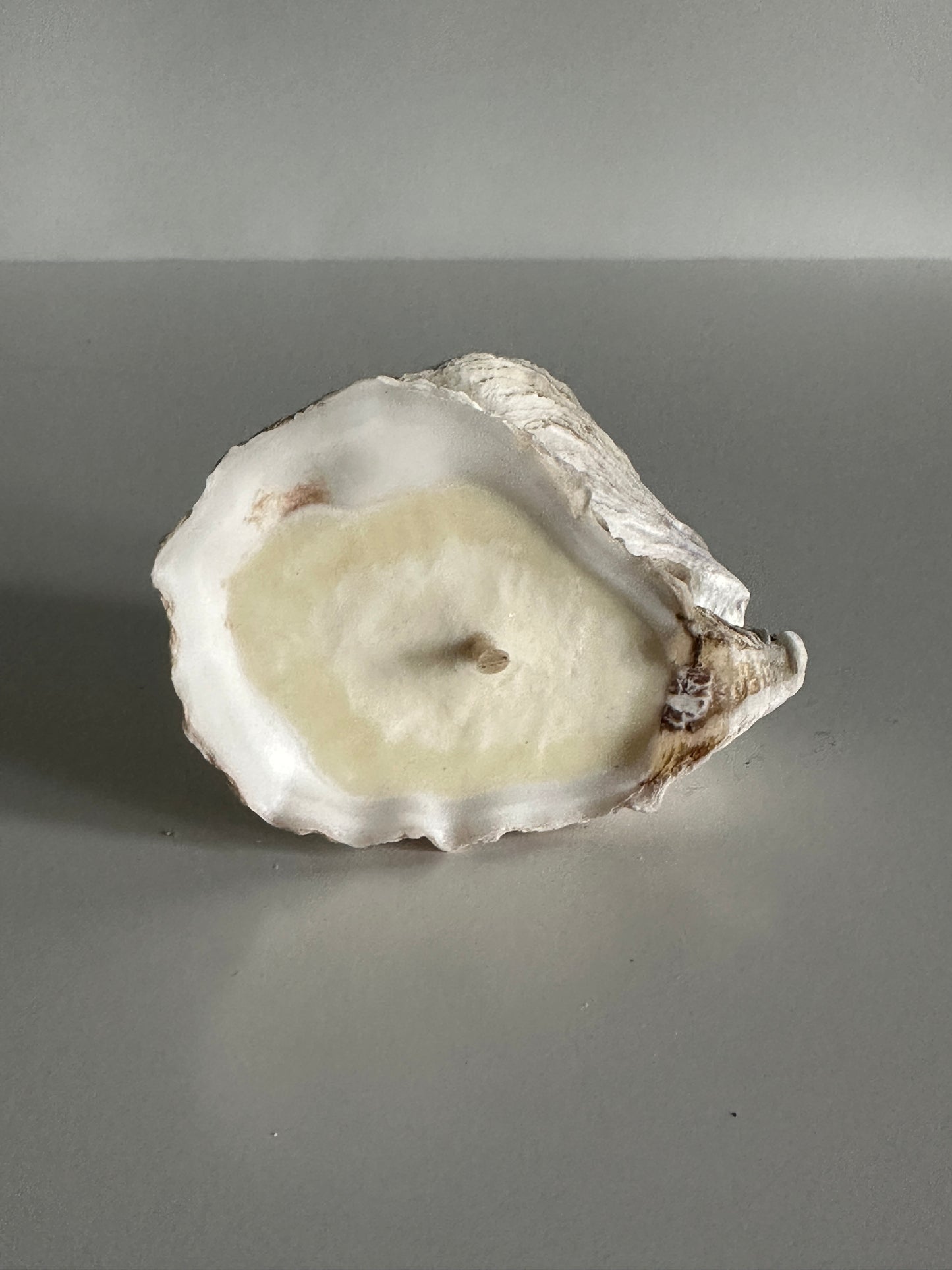 Image at position 8