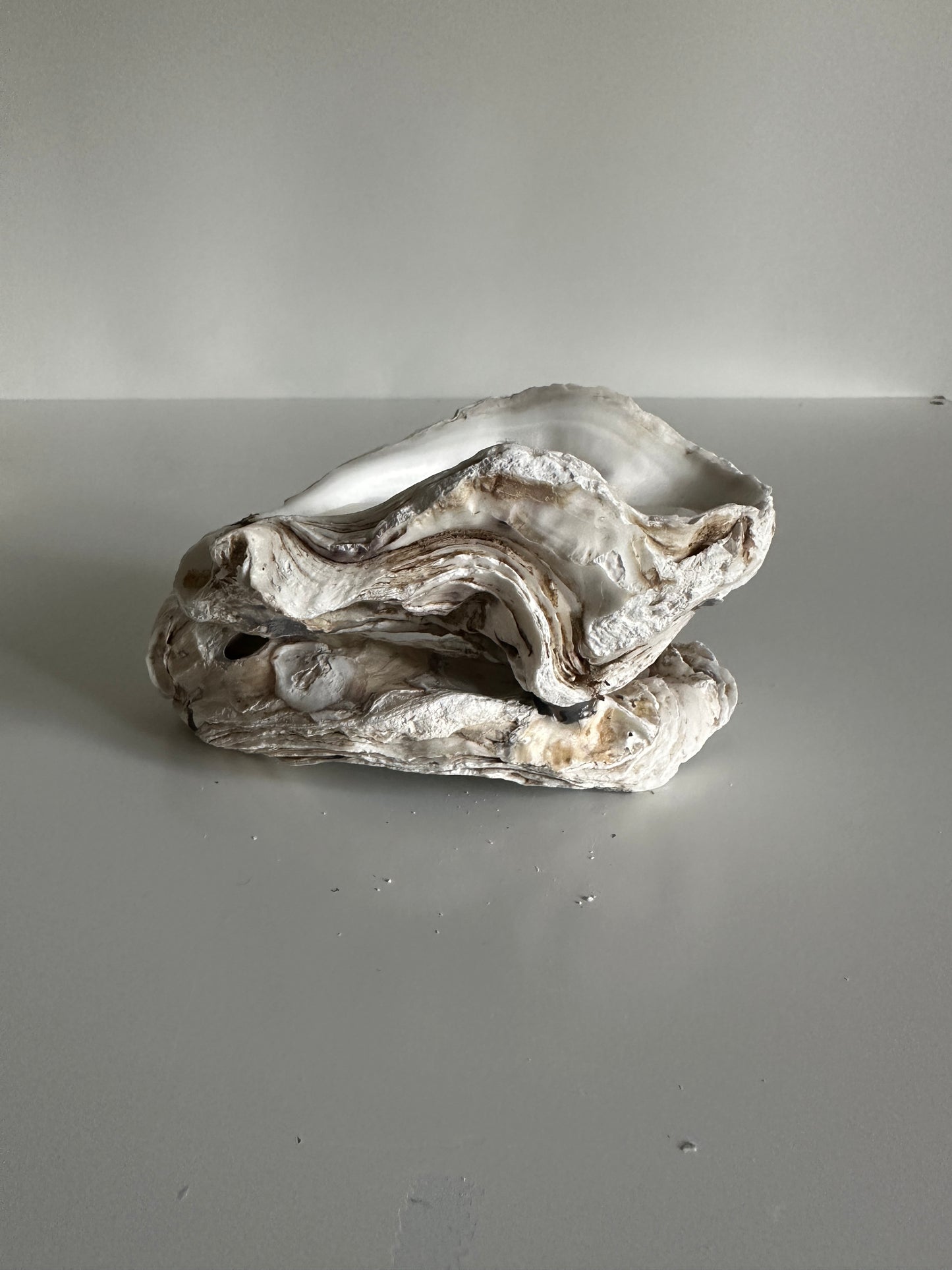 Image at position 1