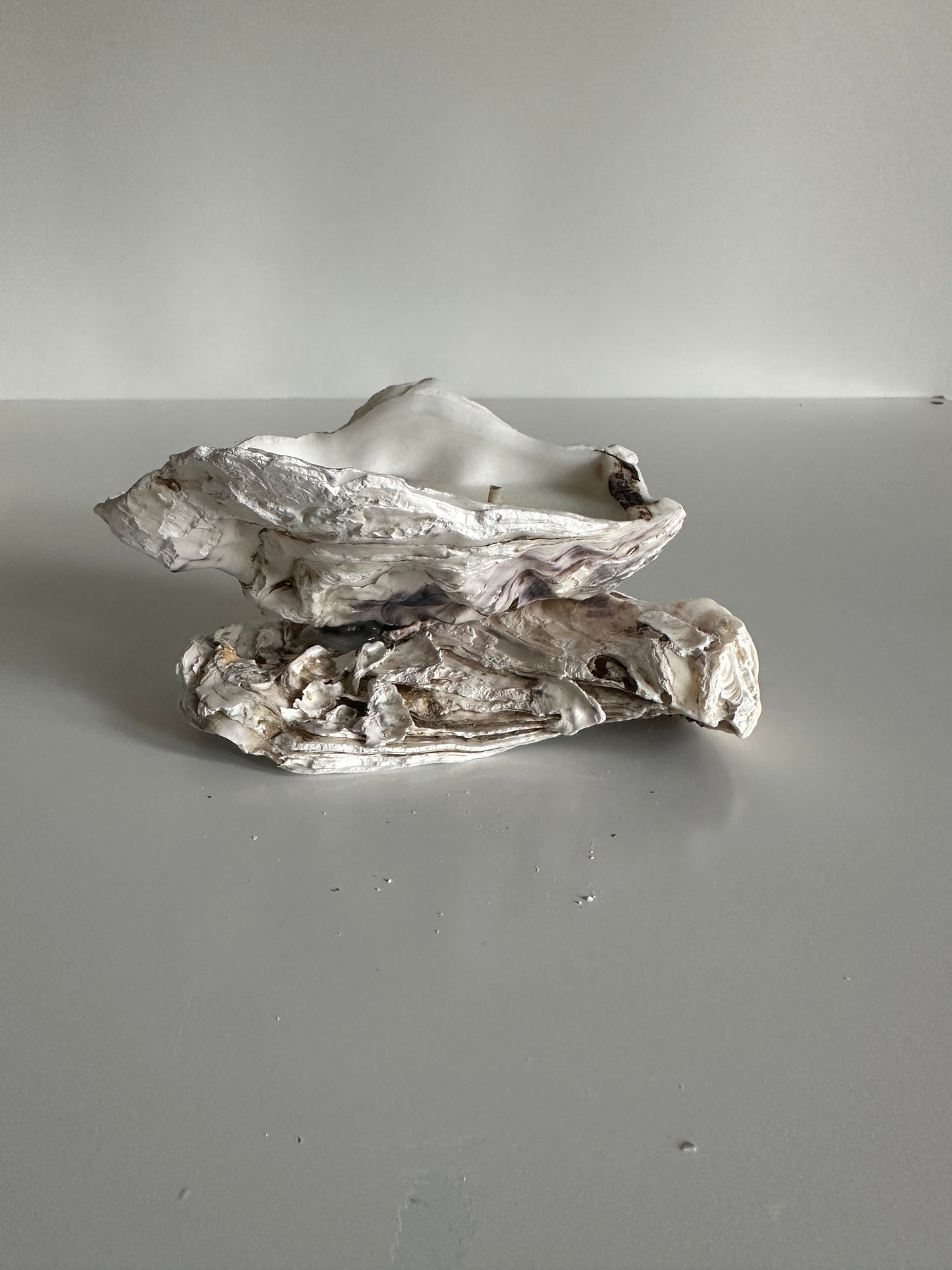 Image at position 2
