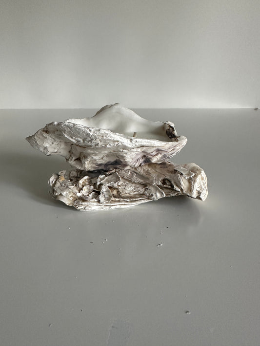 Image at position 2
