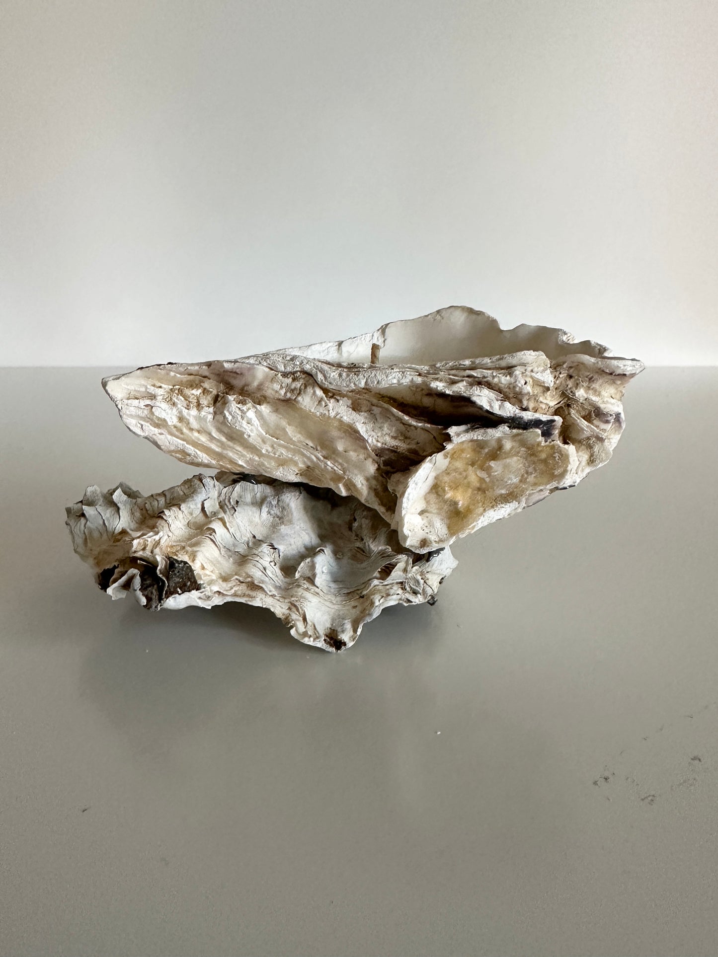 Image at position 1