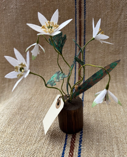 Image at position 1