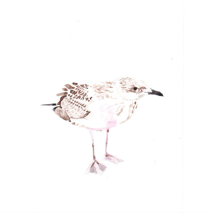 Image at position 1