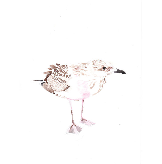 Image at position 1