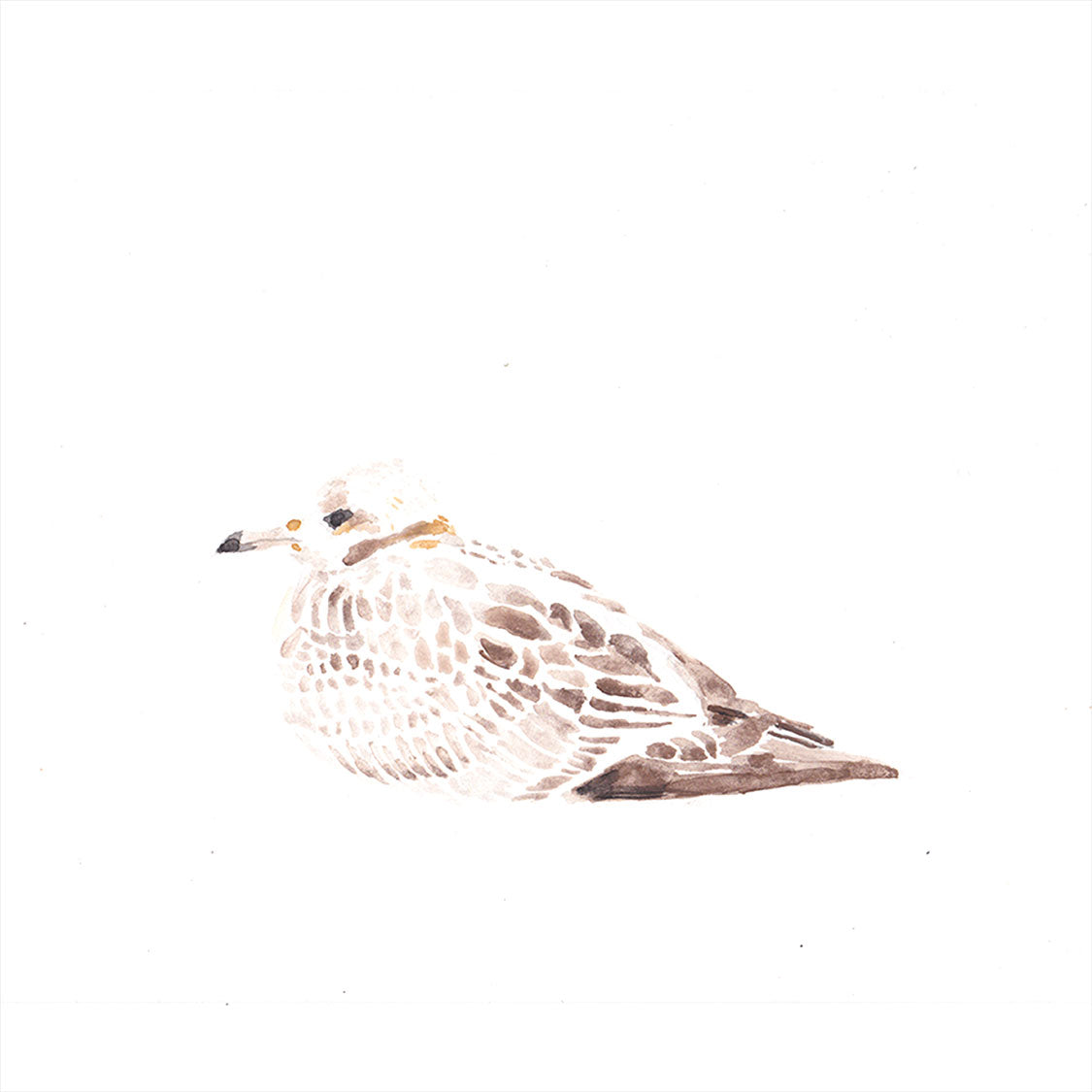 Image at position 1
