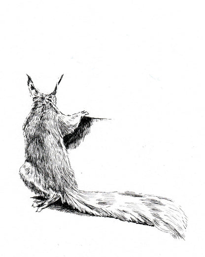 Image at position 1