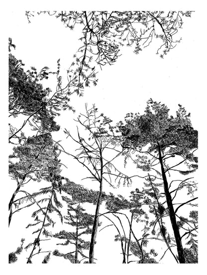Image at position 1