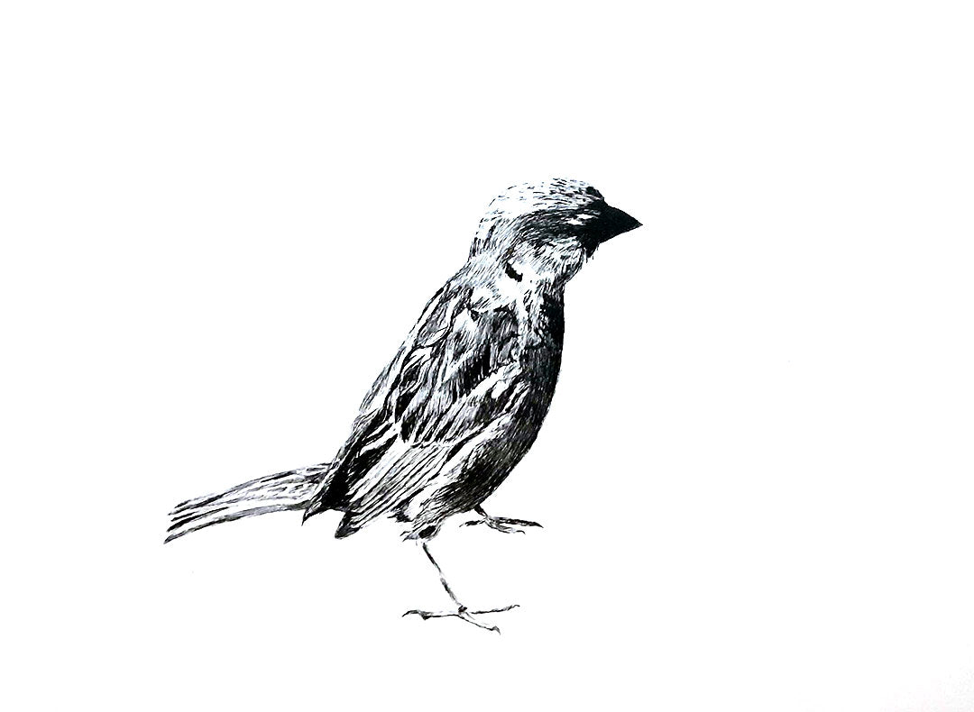 Image at position 1