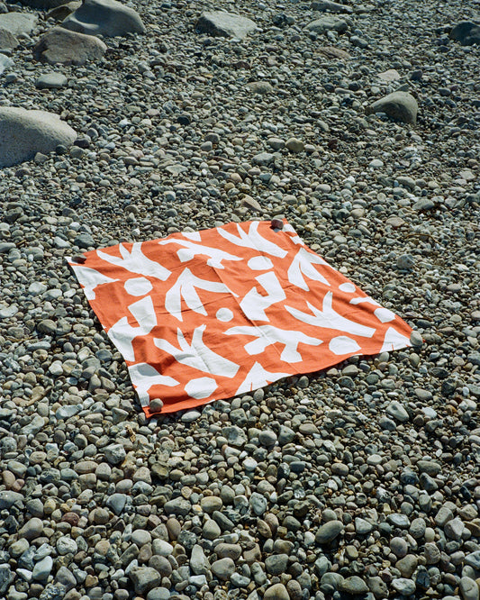 Image at position 1