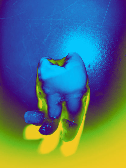 Image at position 1