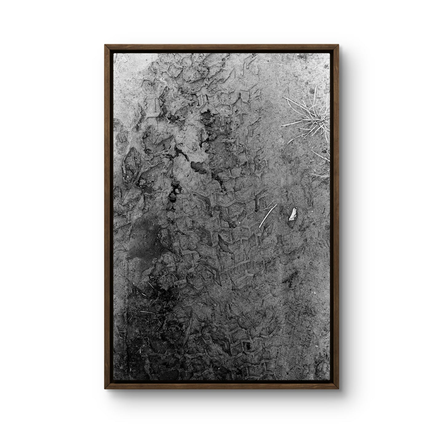 Image at position 2