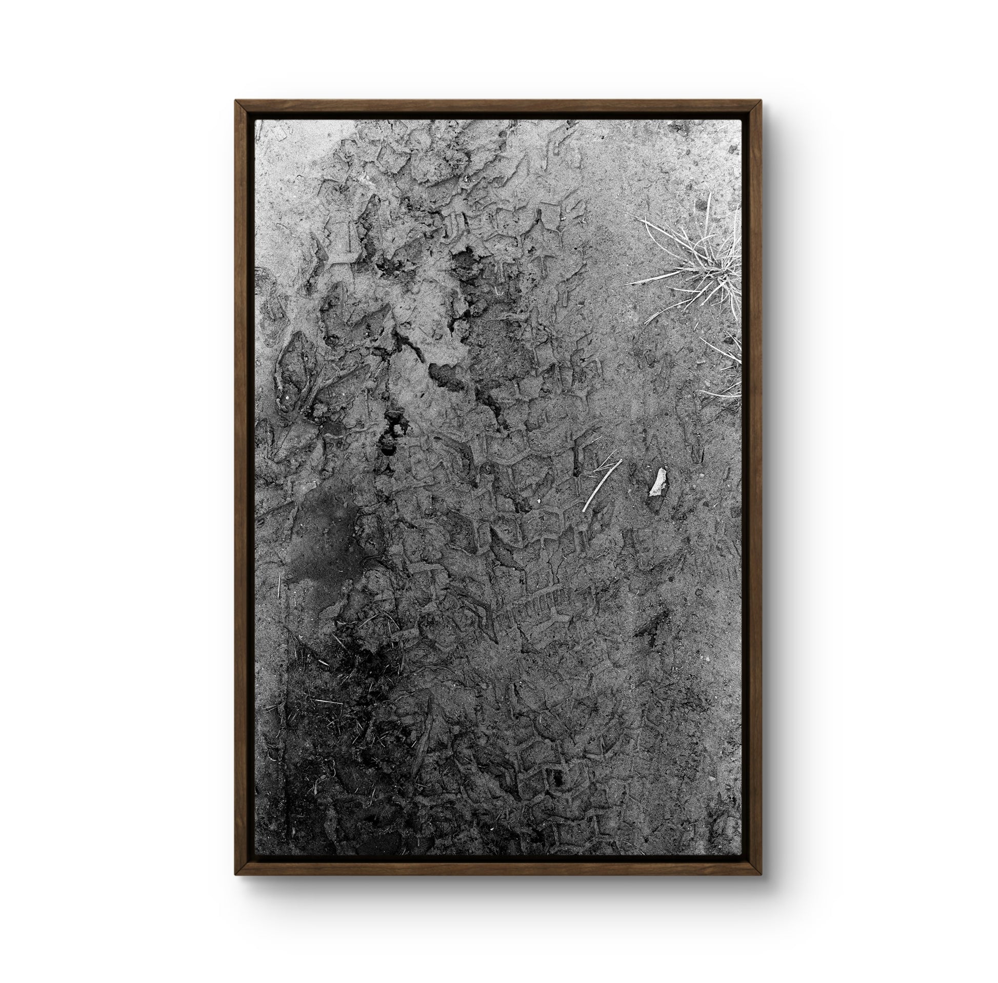 Image at position 2