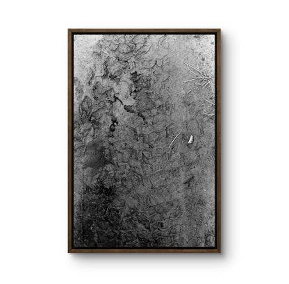 Image at position 2