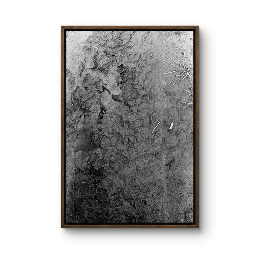 Image at position 2