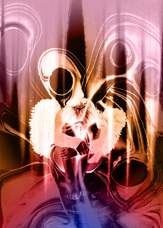 Image at position 1