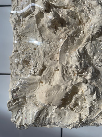Image at position 5