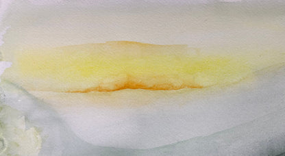 Image at position 3