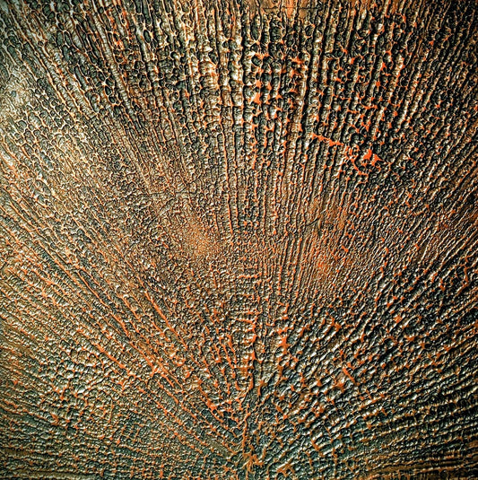 Image at position 5
