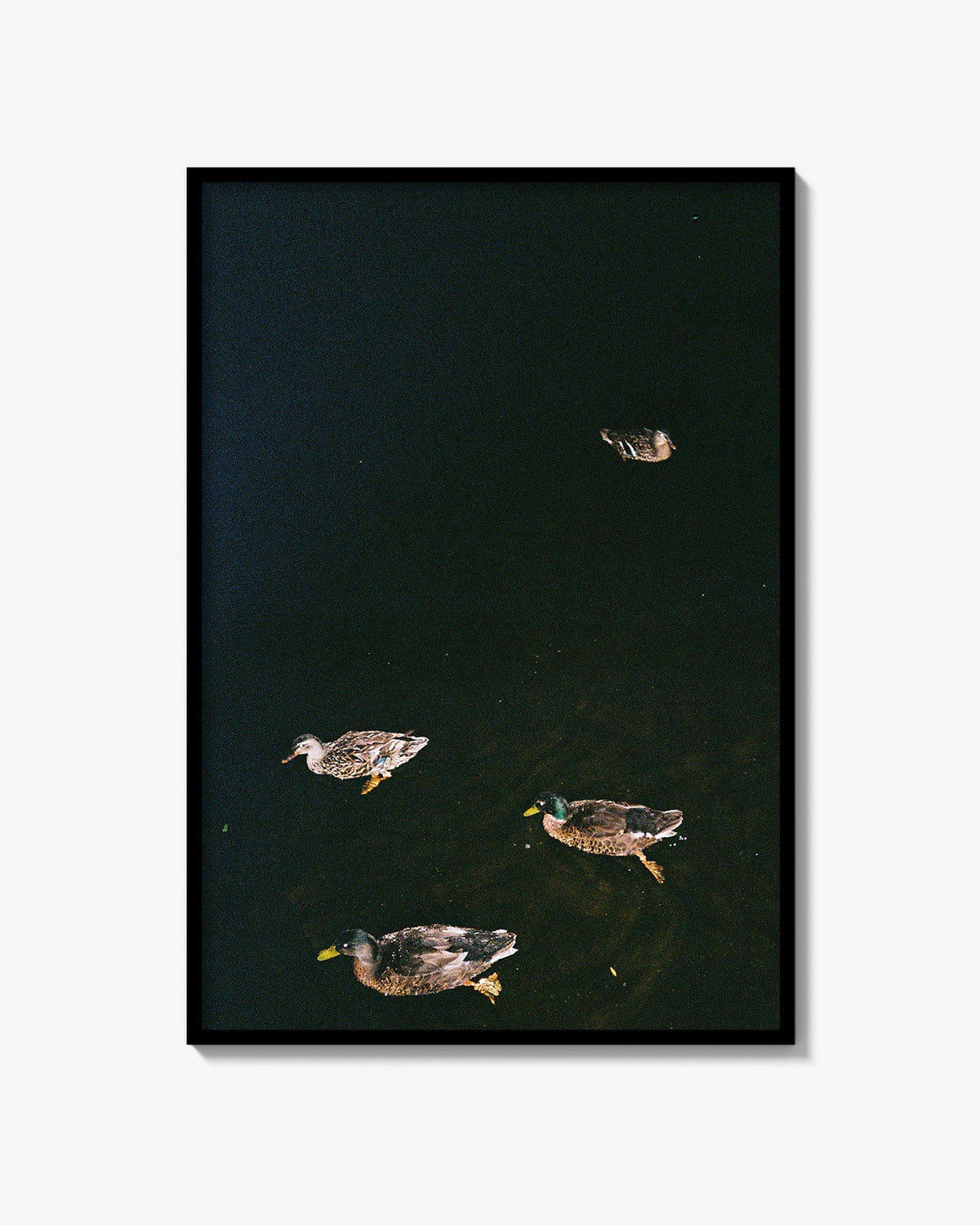 Image at position 1