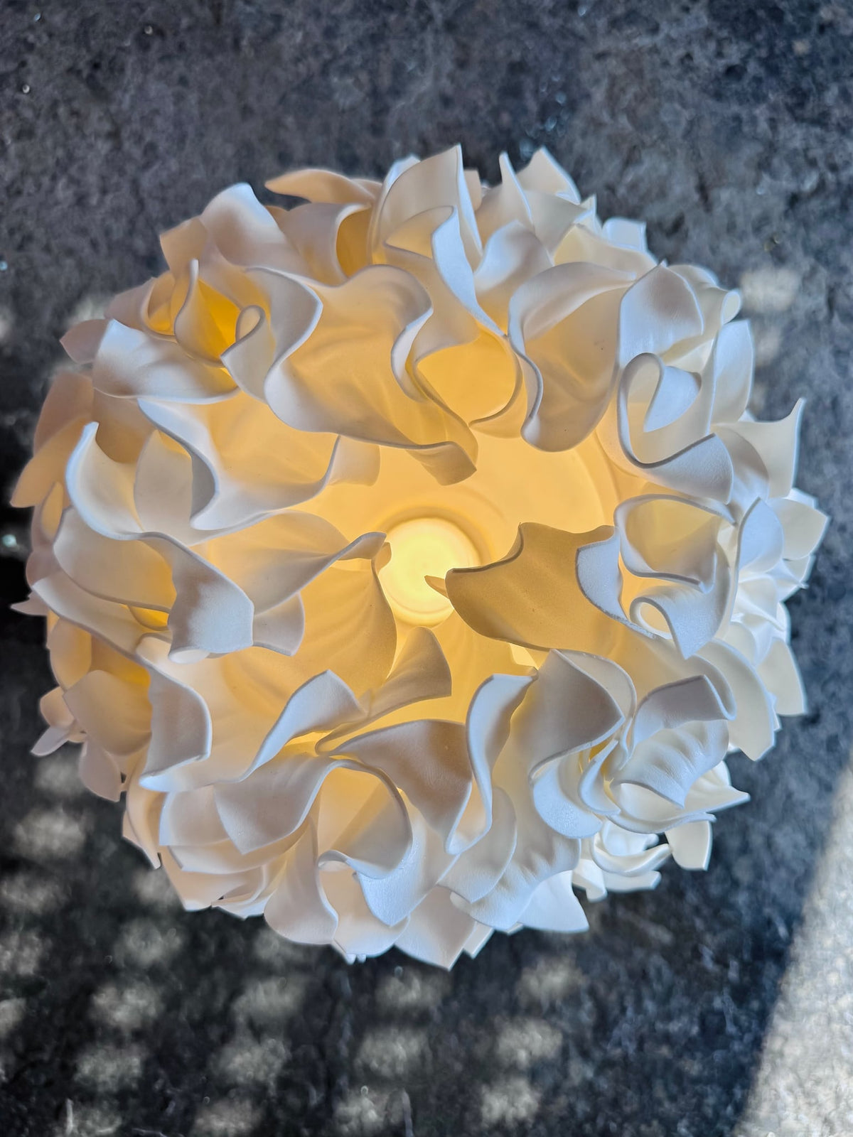 Image at position 2