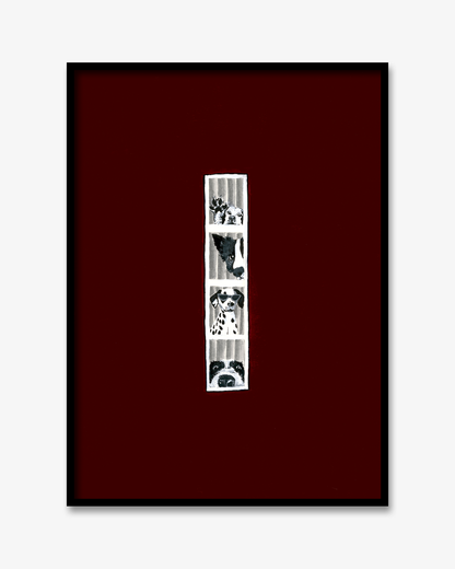 Image at position 1